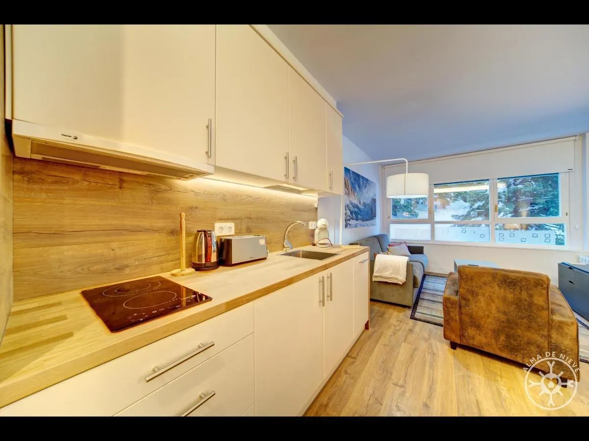 Apartament Salana De Alma De Nieve Baqueira Beret 0*,  Hiszpania
